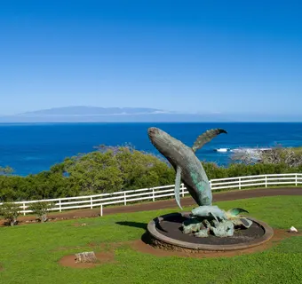 Puakea Bay Ranch