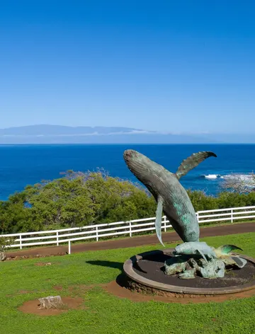 Puakea Bay Ranch, Hawaii