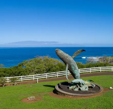 Puakea Bay Ranch, Hawaii