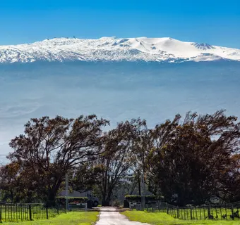 Waimea