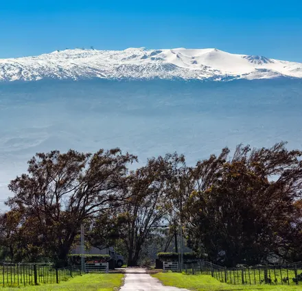 Waimea, Hawaii